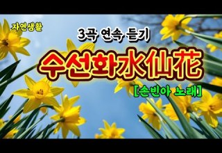 탄성만 절로나오는 명불허전 손빈아 수선화水仙花 미스터트롯3 3곡 연속 듣기 배우기 자막 포함 손빈아 수선화 水仙花 하동 남진 미스터트롯3