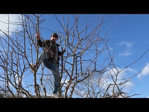 Hatni Bahar U Demi Kari Baxaka Ye Spring Is Here Lets Start Gardening