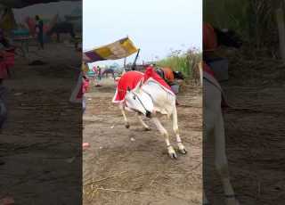  Garh Ganga Ji 2024 Vibes