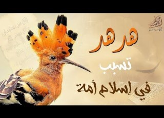 ه ده د تسبب في إسلام أمة تلاوة يعجز اللسان عن وصفها للشيخ محمد صديق المنشاوي