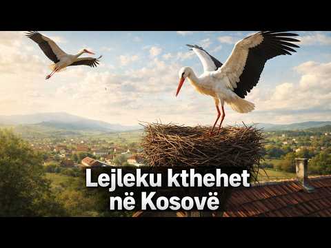 Lejleku NUK Ndrron Partner Shpendi Besnik Kthehet Nga Shtegëtimi Ora 7