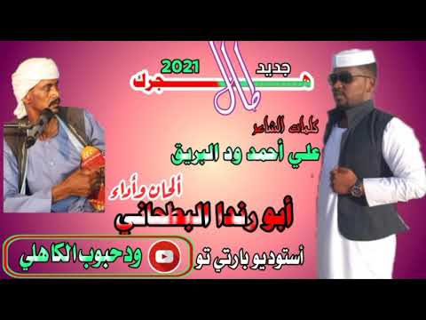 جديد الفنان أبو رندا البطحاني