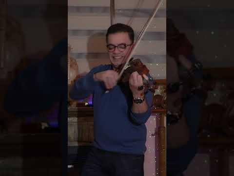 Calm Down Violin Cover By Jihad Akl