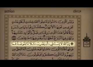 اللهــــــم سند ند الرسول لعائشة حين إحتمت خلف ظهره خوفا من أبيها
