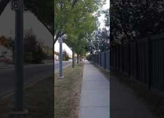  The Ancient Path Walkinit Thegoodway Walking Choosetherightpath Ancientpath