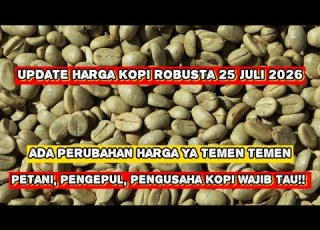 Latest Robusta Coffee Price Update July 25 2026 There Is A Price Change