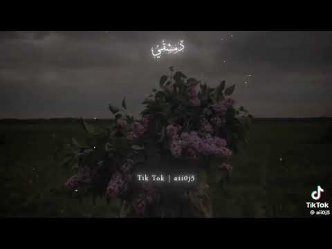 انشودة اريجا اريجا