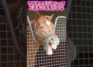 Agnes Digital Is A Spectacularly Great Horse Horse Racing Reactions AgnesDigital