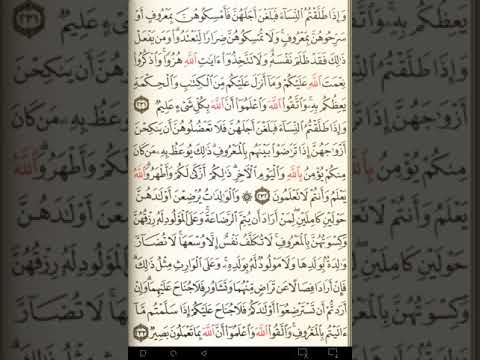 ماهر المعيقلي سورة البقرة مكتوبة صفحة 37 مصحف المدينة المنورة جودة عالية