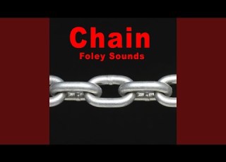 Quick Reverberant Chain Drop On Wood