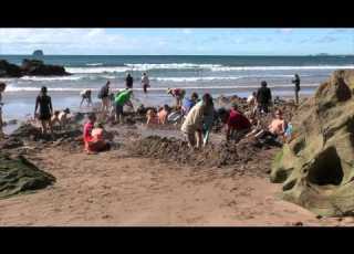 Hot Water Beach The Coromandel