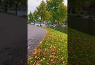 جمال الخريف في هولندا طبيعة فاتنة