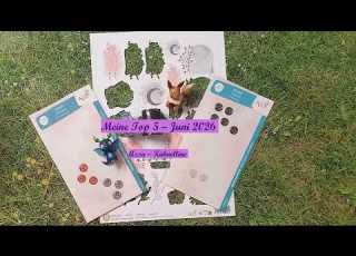  Top5 Juni2026 Kuehnelline Azza