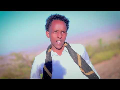 DHAANTO CUSUB ABDI WALI 2026