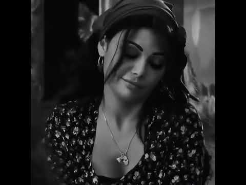 رجب صاحبك أهو شافني هيفاء وهبي تهز المسرح بأغنيتها الشهيرة رجب