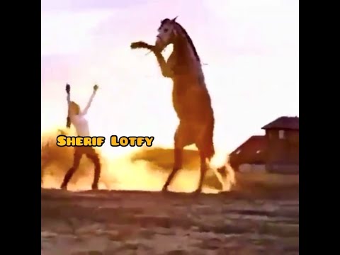 عمر خيرت مقطوعة هروب ٢ لعدم كفاية الأدلة