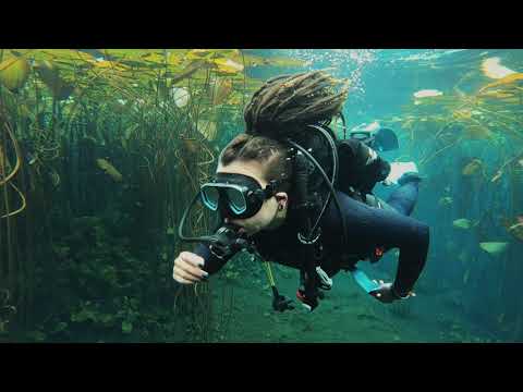 Campsite Review Marico Oog Groot Marico North West