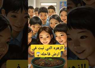 قصة رنا والزهرة التي نبتت في أرض قاحلة كيف يمكن للإيمان أن يغير الحياة قصة ملهمة