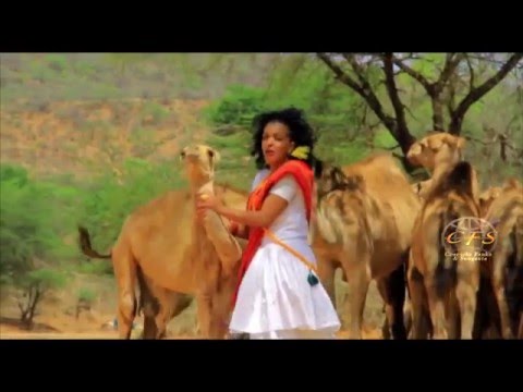 Dhaanto Cusub Degmadda Laas Dhar Axmed Budul Footage Remix