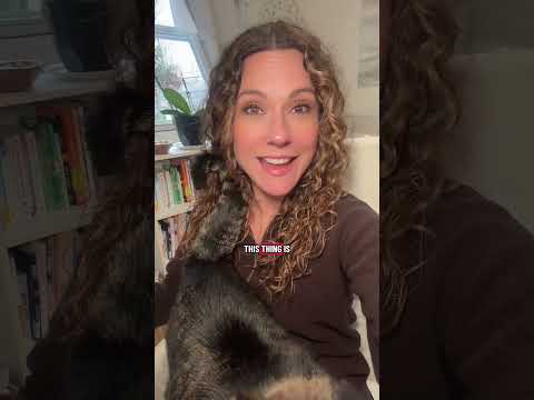 The One Thing You Should Never Say If You Want More Out Of Life Mindsetshift