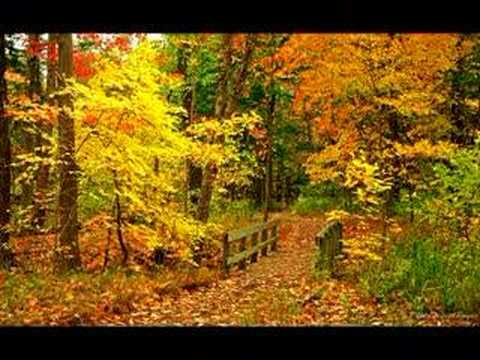 Richard Clayderman Love Story