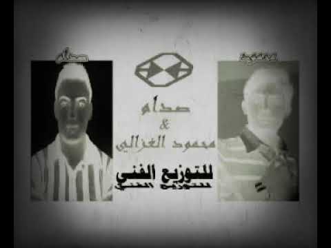 رشا سليمان زينو