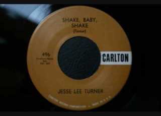 Jesse Lee Turner Shake Baby Shake
