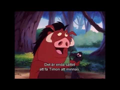 Around The World With Timon Pumbaa 1996 End Credits