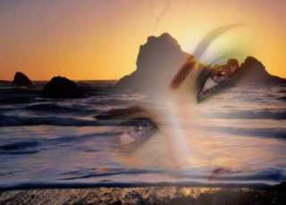 يا طير صبر السنين