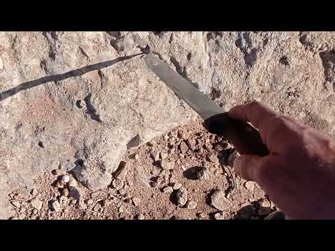 تعلم كيف تبحث على الرنات مع الاستاذ ابو الجرار