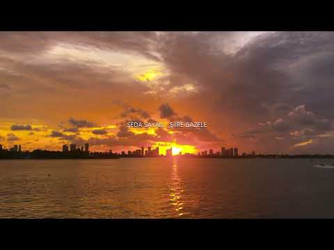 𝐒𝐞𝐝𝐚 𝐒𝐚𝐲𝐚𝐧 𝐒 𝐢𝐢𝐫𝐞 𝐆𝐚𝐳𝐞𝐥𝐞 𝐒𝐥𝐨𝐰𝐞𝐝 𝐑𝐞𝐯𝐞𝐫𝐛 𝐒𝐞𝐧𝐢𝐧 𝐚𝐬 𝐤ı𝐧 𝐛𝐞𝐧𝐢 𝐝𝐮 𝐬 𝐮 𝐫𝐝𝐮 𝐝𝐢𝐥𝐞