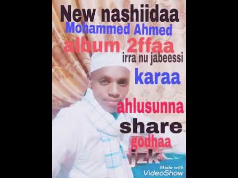 Nashiidaa Haaraya Afaan Oromo 2022like Share Subscribe Godhuun Nujajjabessa