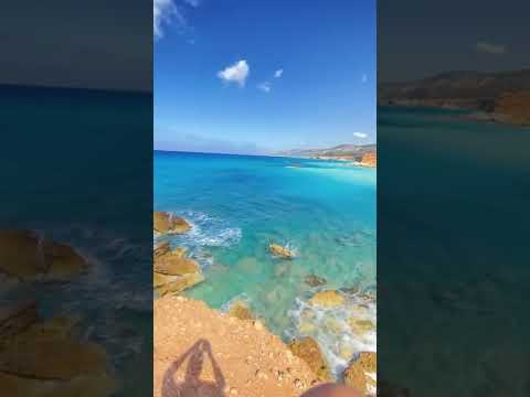 سيرينا يادنيا