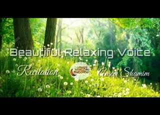  1 HOUR Beautiful Relaxing Voice By Ameer Shamim