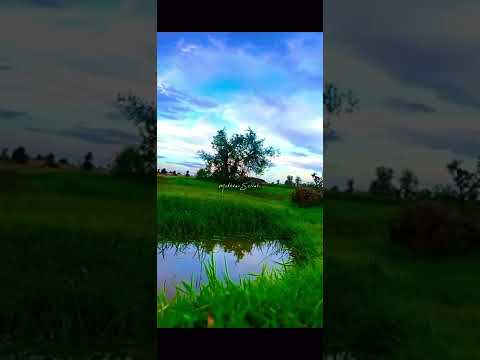 نزار قباني مازلت في فن المحبة طفلة نزار قباني مازلت في فن المحبة طفلة