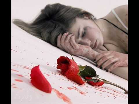 بشار السرحان حسب علمي