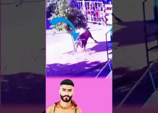 قوة لا تصدق لحظة جنون الثور في الساحة معلومة أسرار يوتيوب ابلور