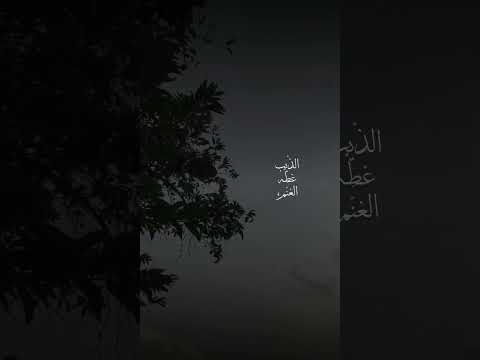 سمير صبيح بفنجاني تقره وقرت