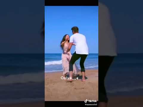 الطيور المجروحة