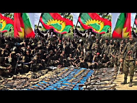 ODUU AMMEE Injifannoo WBO Ibsa KFO Guyyaa Har Aa Bitootessa 28 2026