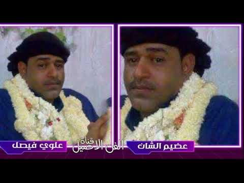 علوي فيصل علوي عضيم الشان