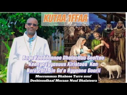 Muccummaa Dhabnee Turre Nuuf Deebisuudhaaf Mucaan Nuuf Dhalateera