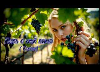 Пить с ней вино Cover Wladimir Lizenberger Irina Widner