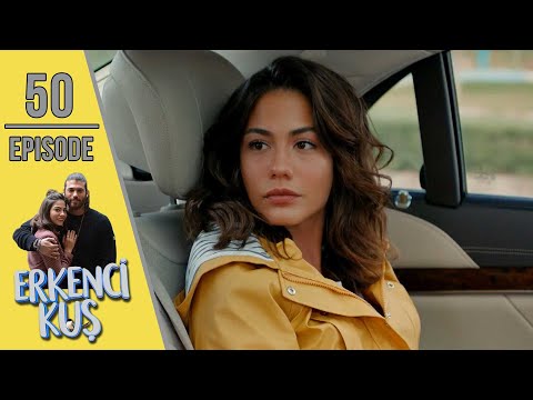 Early Bird Episode 50 English Subtitles Erkenci Kus