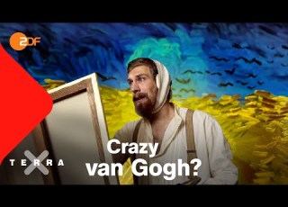  Wie Verrückt War Superstar Van Gogh Terra X