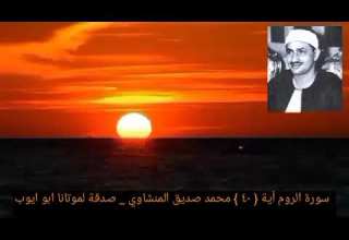 الله الذي خلقكم ثم رزقكم ثم يميتكم ثم يحييكم سورة الروم آية ٤٠ المنشاوي