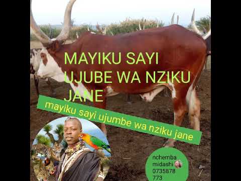 MAYIKUSAI UJUMBE WA NZIKU JANE