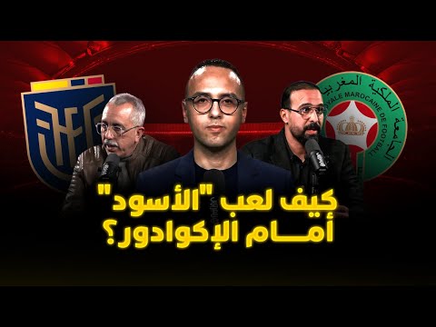 مباشر ميطا 3 كيف لعب الأسود تحليل شامل لأداء وتكتيك المنتخب مع وهبي