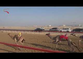 سباق اللقايا الطي 5 10 2018 ش13 العنود لـ عيسى سعيد عيسى الخيلي 6 06