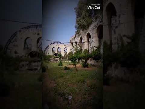 ستوريات عن مدينة الأحلام حماة بدون حقوق